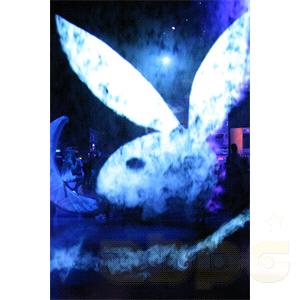 ������������ ����������� �������� ����� Fogscreen (2 - 6 ������)